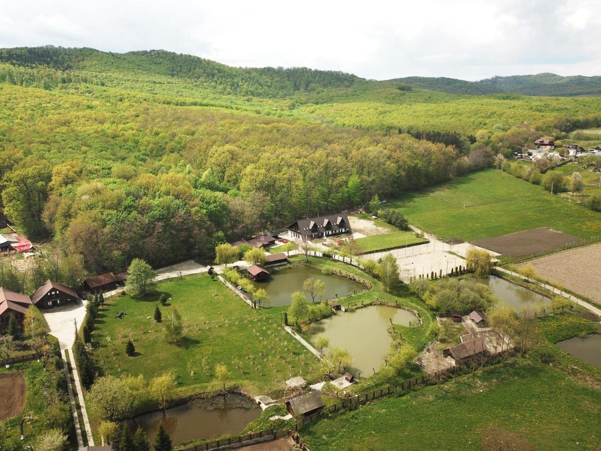 Cabana Paradisul Verde Neamt Targu Neamt Exterior photo